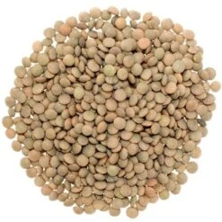 Desi Masoor Whole (American Brown Lentils) - 32oz (2lbs) - Rani Brand Authentic Indian Products 14 Desi Masoor Whole (American Brown Lentils) - 32oz (2lbs) - Rani Brand Authentic Indian Products -Pure Indian Foods Store GUEST 625b057d 90b9 4fab afd0 bbcbeba1b476